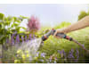 Gardena Comfort Reinigungsspritze ecoPulse   Bewässerung 18304-20