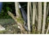 Gardena Astschere SlimCut   12010-20