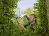 Gardena Heckenschere NatureCut   12300-20