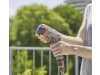 Gardena Comfort Reinigungsspritze ecoPulse   Bewässerung 18304-20