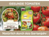 Solabiol Grundstoff Lecithin 800 ml   