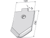 Industriehof® Scharspitze 230 x 120 x 10 mm, für Amazone/BBG "Pegasus", Lemken "Smaragd", "Topas", 101.86010