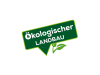 Solabiol Brennnessel Sud 1 l Flasche  