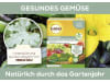 Solabiol Grundstoff Natriumhydrogencarbonat 350 g   