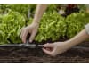 Gardena Micro-Drip-System T-Stück 13 mm (1/2")  Länge:88 mm 1/2"; 13 mm  13201-20