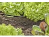 Gardena Micro-Drip-System T-Stück 4,6mm (3/16")  Länge:36 mm 3/16" Bewässerung 13211-20