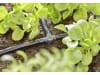 Gardena Micro-Drip-System T-Stück 4,6mm (3/16")  Länge:36 mm 3/16" Bewässerung 13211-20