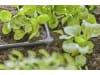 Gardena Micro-Drip-System L-Stück 4,6 mm (3/16")  Länge:23 mm 3/16" Bewässerung 13212-20