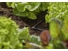 Gardena Micro-Drip-System L-Stück 4,6 mm (3/16")  Länge:23 mm 3/16" Bewässerung 13212-20