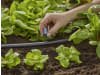 Gardena Micro-Drip-System Endkleinflächendüse   Bewässerung für Pflanzflächen 13306-20