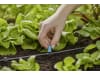 Gardena Micro-Drip-System Reihen-Kleinflächendüse  10x Kleinflächendüse, 1x Verschluss Bewässerung für Pflanzflächen 13316-20