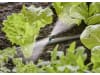 Gardena Streifendüse   Bewässerung für Pflanzflächen 13319-20