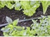 Gardena Sprühdüse 90°   Bewässerung für Pflanzflächen 13320-20