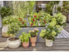 Gardena Tropfbewässerung Set Terrasse (30 Pflanzen)   Bewässerung für Topfpflanzen 13400-20