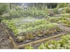 Gardena Micro-Drip-System Tropfbewässerung Set Gemüse-/Blumenbeet (60 m²)   Starter-Set zur Bewässerung für Pflanzflächen 13450-20
