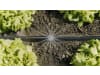 Gardena Micro-Drip-System Tropfbewässerung Set Gemüse-/Blumenbeet (60 m²)   Starter-Set zur Bewässerung für Pflanzflächen 13450-20
