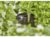 Gardena Micro-Drip-System Tropfbewässerung Set Hochbeet/Beet (35 Pflanzen)   Starter-Set zur Bewässerung für Pflanzflächen 13455-20