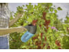 Gardena combisystem – Beerensammler-Set (CS-Beerensammler inkl. CS-Teleskop-Stiel)  17400-90 