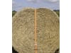 KERBL Zurrgurt 15 m x 50 mm, 2-teilig, Spitzhaken, Ratsche, orange, 37160