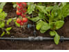 Gardena Micro-Drip-System Regulierbarer Reihentropfer druckausgleichend  5x Reihentropfer, 1x Verschlusskappe  Bewässerung für Topfpflanzen 13314-20