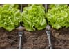 Gardena Micro-Drip-System Absperrventil   Bewässerung 13207-20