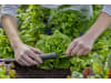 Gardena Micro-Drip-System Basisgerät 1000   Bewässerung 13333-20