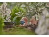 Gardena Micro-Drip-System Regulierbarer Endtropfer druckausgleichend    Bewässerung für Topfpflanzen 13304-20