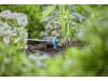 Gardena Micro-Drip-System Regulierbarer Endtropfer druckausgleichend    Bewässerung für Topfpflanzen 13304-20