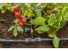 Gardena Micro-Drip-System Verbinder 4,6 mm   4,6 mm (3/16'') Bewässerung 13204-20