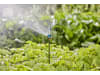 Gardena Micro-Drip-System Verlängerungsrohr für Sprühdüsen    Bewässerung für Pflanzflächen 13326-20