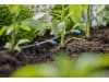 Gardena Micro-Drip-System Reihentropfer  10x Reihentropfer; 1x Verschlusskappe, 1x Reinigungsnadel  Bewässerung für Topfpflanzen 13317-20