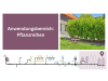 Gardena Micro-Drip-System Ober- und unterirdisches Tropfrohr für Büsche/Hecken    zur Bewässerung für Pflanzreihen 