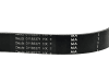 Fendt Keilrippenriemen vorderer, 1.479 mm, für Traktor Vario 900, F946201040020