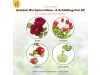 Solabiol Bio Spinnmilben- & Schädlingsfrei AF 500 ml   