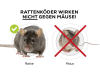 Protect Home Ratten Portionsköder 500 g  zur Rattenbekämpfung 