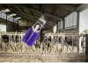 DeLaval Kuhbürste "SBB" 500 x 1.320 x 1.000 mm, Borstenbesatz Nylon, für Rinder mit Hörnern und langem Fell, 64410880
