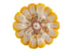 Mais-Saatgut SM Jagiellon    (ca. S 230)