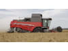 Massey Ferguson Mähdrescher "MF Beta 7370 ParaLevel" 265 kW (360 PS)