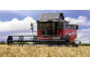 Massey Ferguson Mähdrescher "MF Activa S 7347 MCS" 225 kW (306 PS)