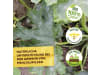 Solabiol Grundstoff Lecithin 1 l Flasche  