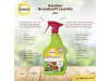 Solabiol Grundstoff Lecithin 1 l Flasche  