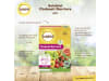 Solabiol Chabasit Barriere 400 g Beutel  