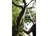 Fiskars Smartfit tel.-Astschere   