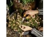 Fiskars Solid™ Universalgartenschere SP150   