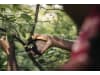 Fiskars Plus PowerLever Bypass Gartenschere   