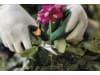 Fiskars Solid™ Universalgartenschere SP150   