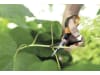 Fiskars Solid™ Universalgartenschere SP150   