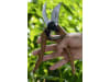 Berger Gartenschere "C1200" Länge 220 mm, 260 g, gerader Schneidkopf, auswechselbare Klinge, Korkgriffe, C1200