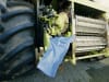 DERBLAUE® Rutsche L x B: 50 x 30/20 cm, 12006
