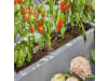 Gardena Micro-Drip-System Tropfbewässerung Set Terrasse (30 Pflanzen) - Aktion 13400-32   13400-32